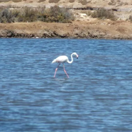 Lägenhet Mar Azul